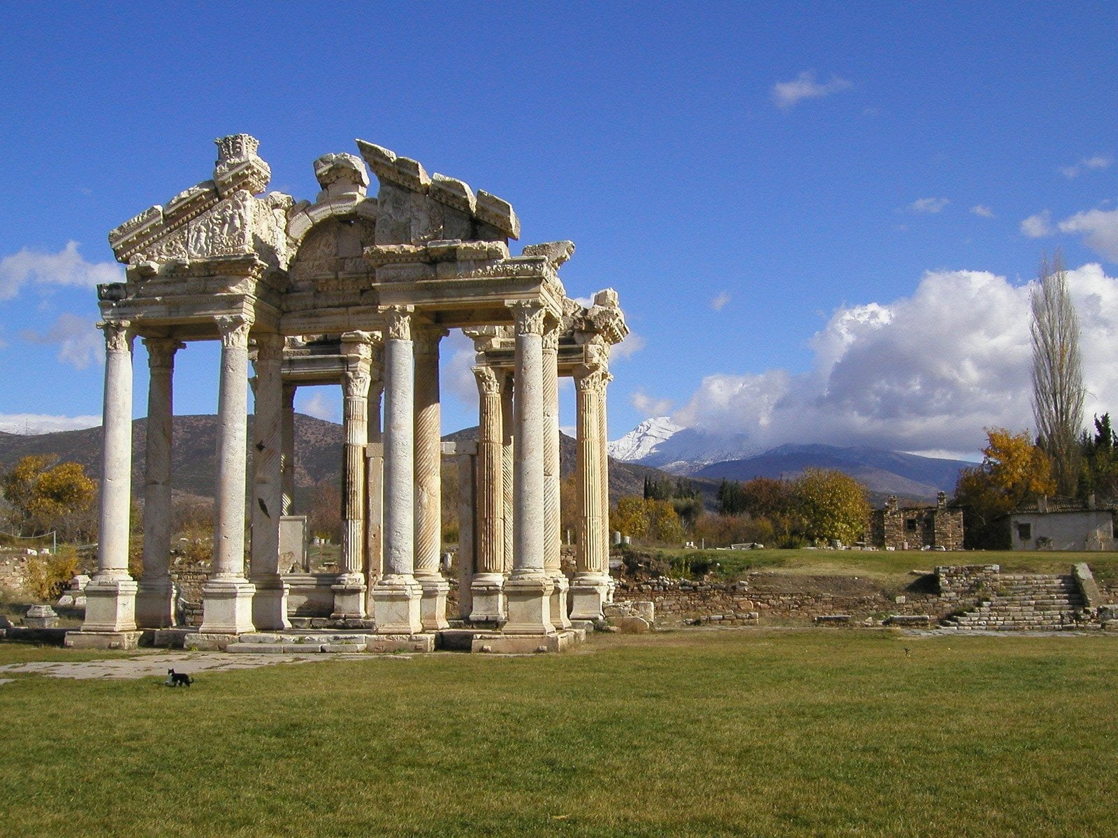 PROJECT_TITLE image 01